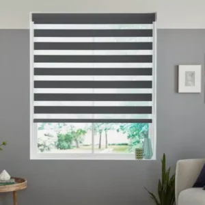 Zebra Blinds